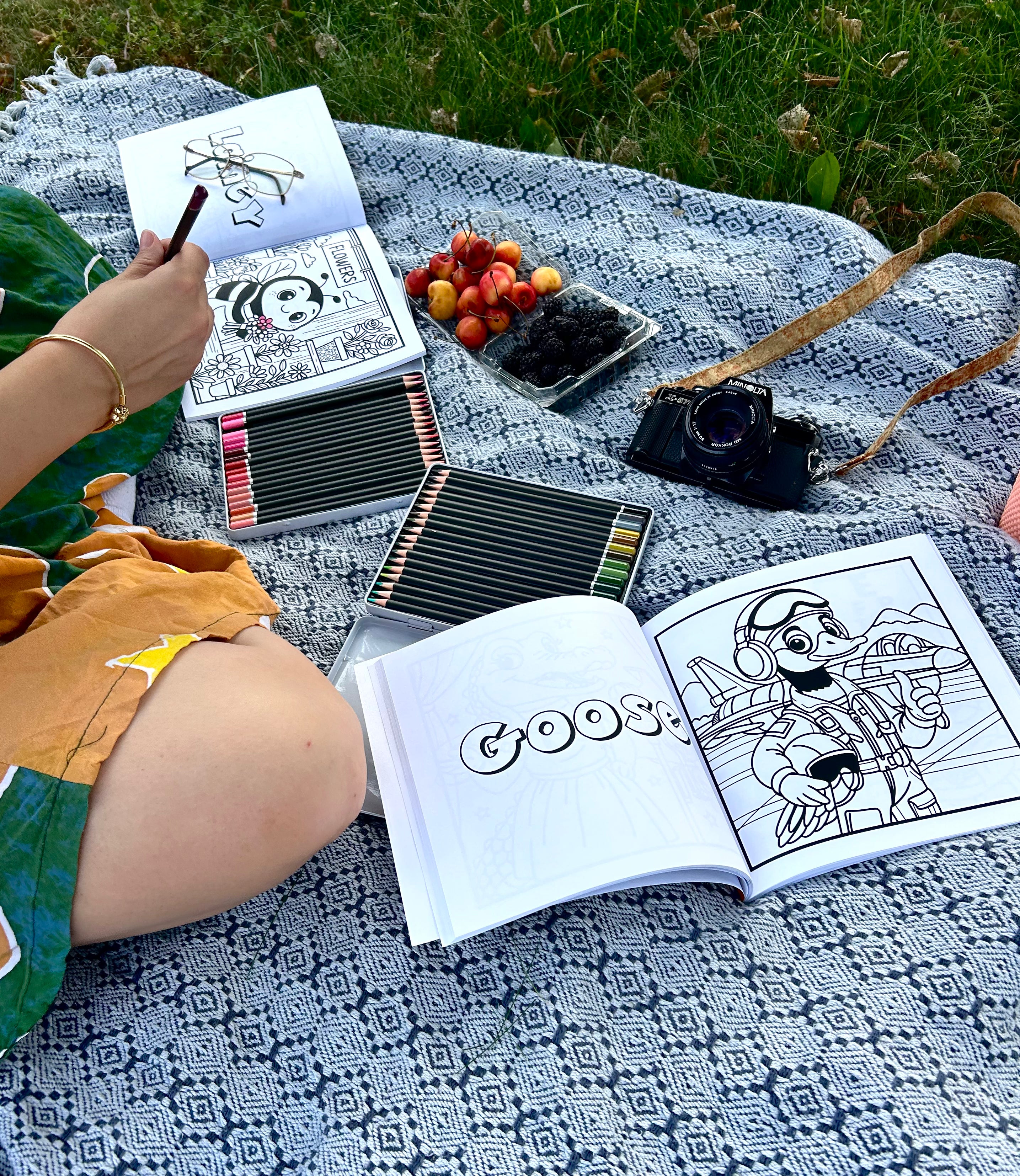 Professional Paws Colouring Book