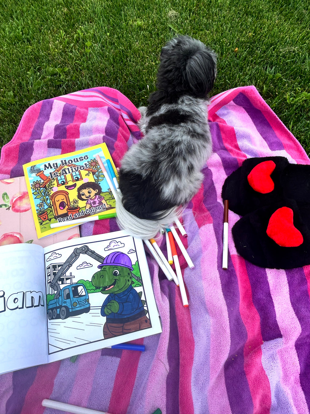 My House is Alive! Read and Colour